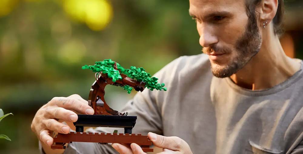 Man holding the lego bonsai tree