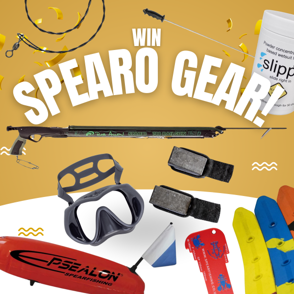 Win Spearfishing gear